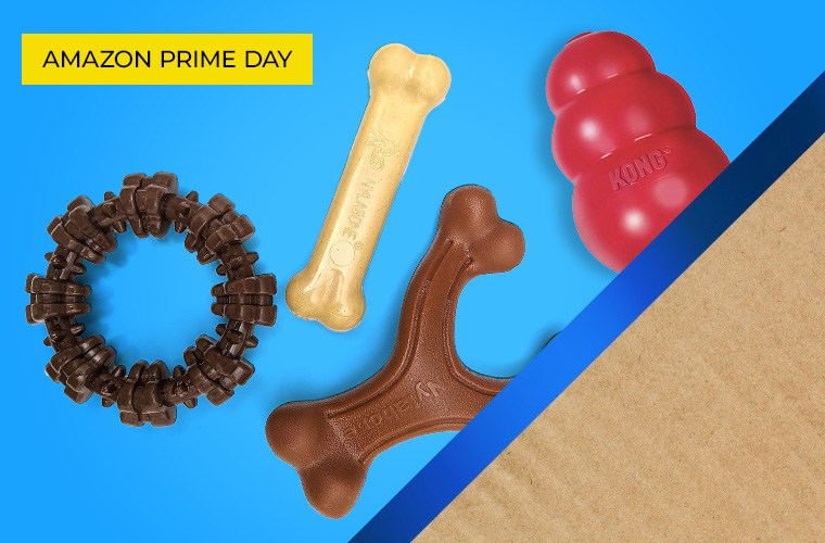Unleash the Best Prime Day Deals for Pet Parents on Day 2!