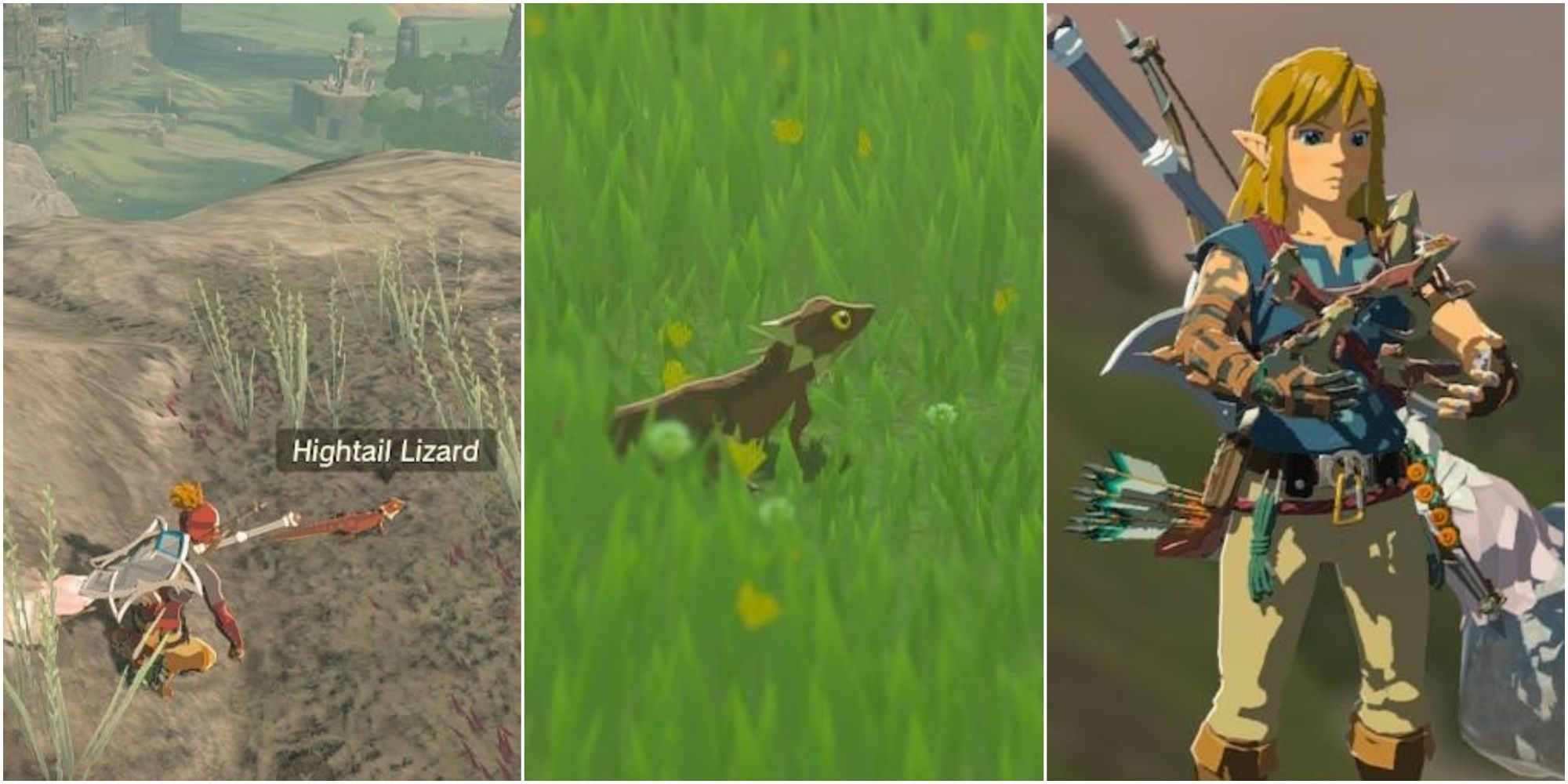 The Ultimate Guide to Farming Hightail Lizards in Zelda: Tears of the Kingdom