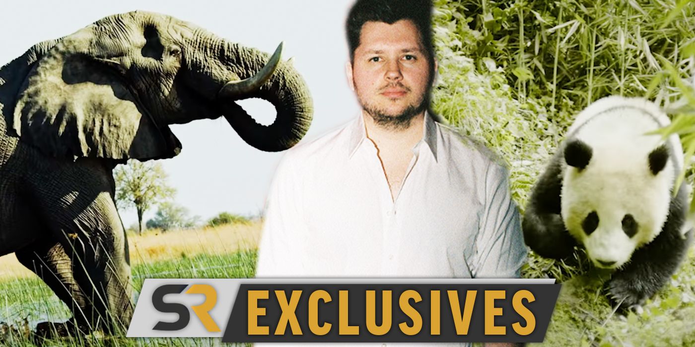 Unveiling the Captivating Transcendence of 'A Year On Planet Earth' with Its Mesmerizing Title Track [EXCLUSIVE]