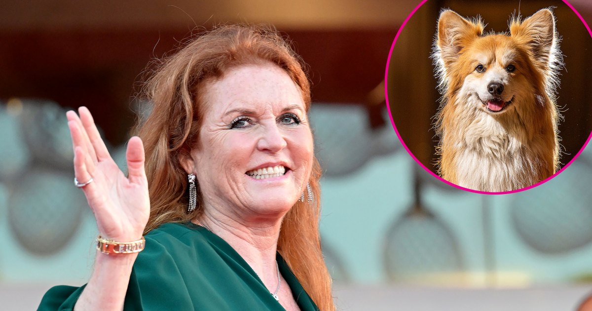 Inside Scoop: Sarah Ferguson's Unforgettable Journey with Queen Elizabeth II's Beloved Corgis