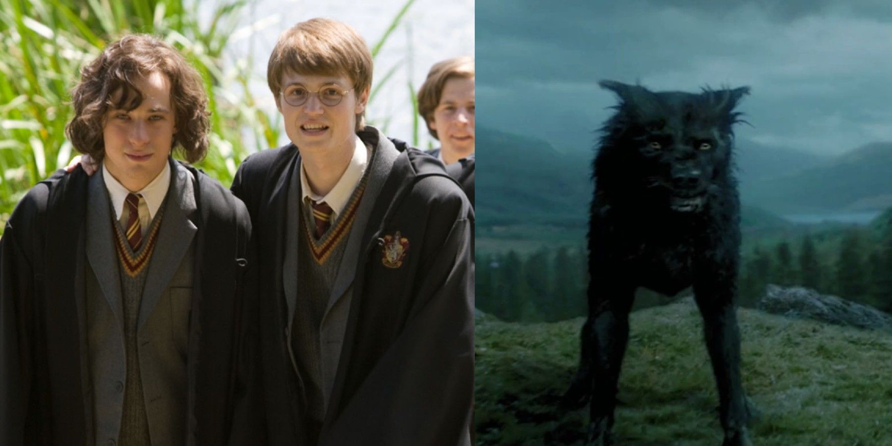 The Mysterious Identity of Padfoot Revealed: Unveiling the Secrets of Harry Potter