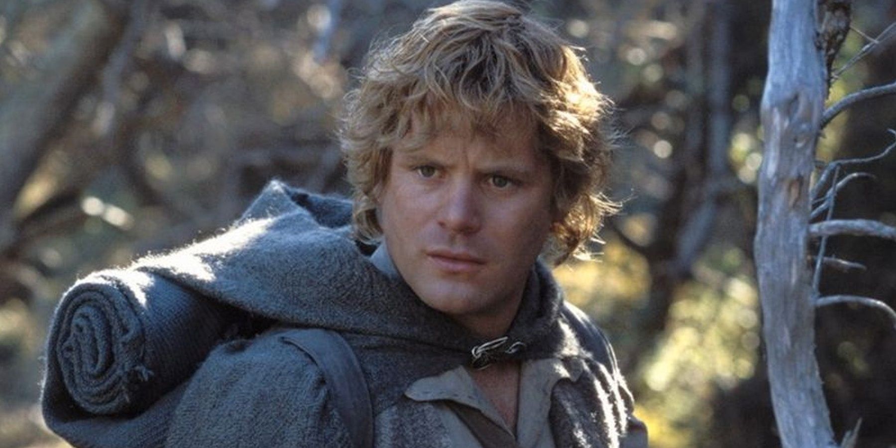 The Unsung Hero: Unveiling Samwise Gamgee's True Role in The Lord of the Rings