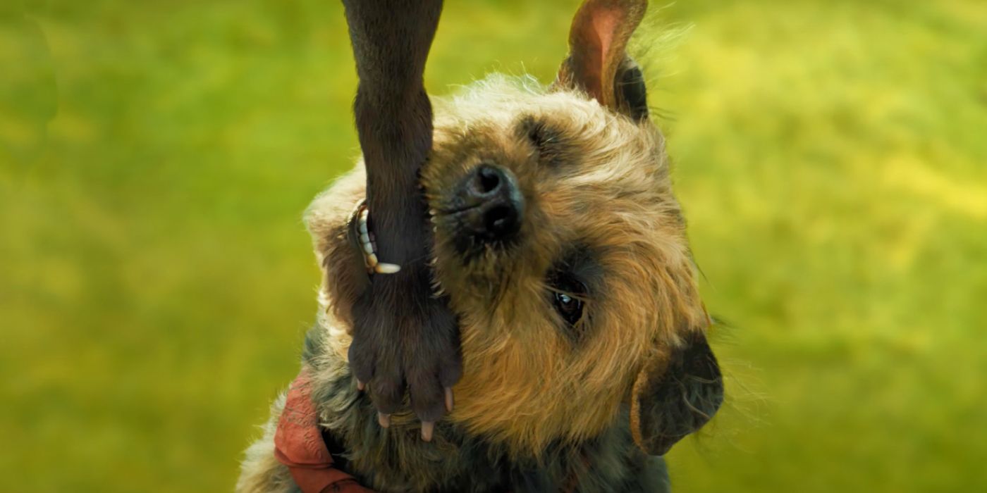 The Epic Conclusion: Unveiling Reggie's Revenge on Doug in Strays – Exclusive Insights from the Director!
