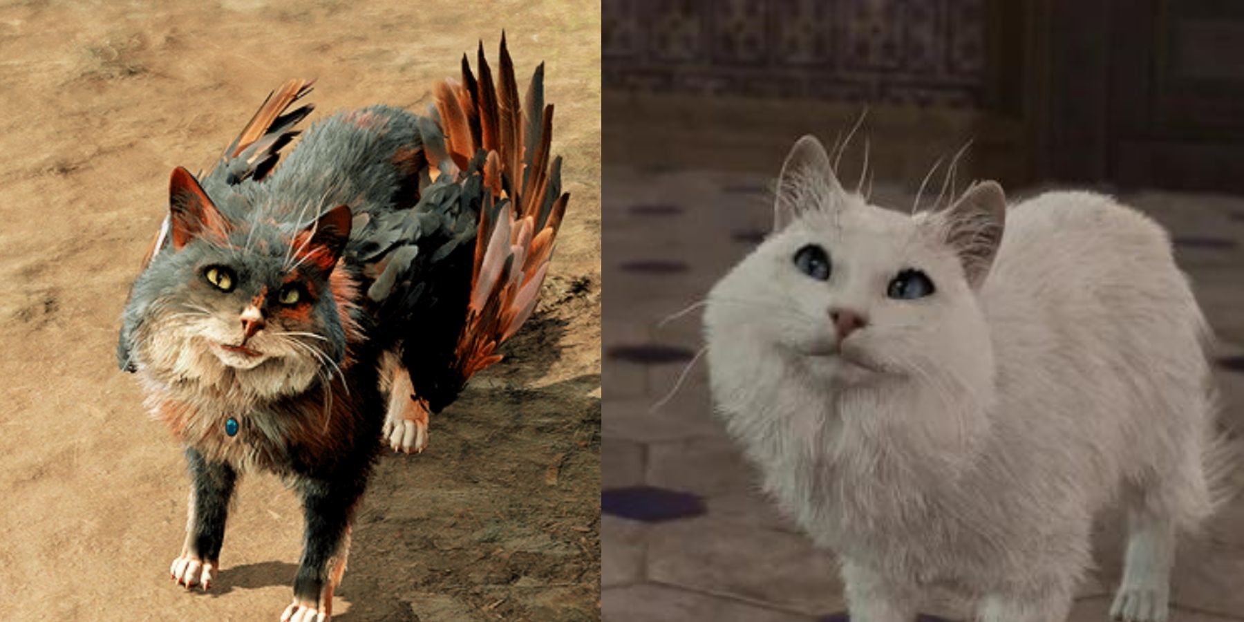 The Most Adorable Feline Companions in Baldur's Gate 3