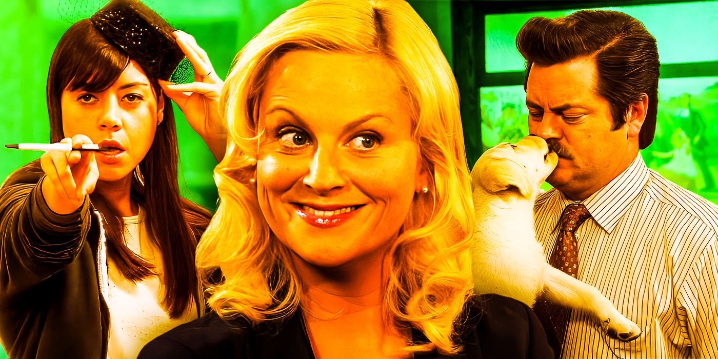 The Unmatched Brilliance of Amy Poehler: Ranking Every Parks ...