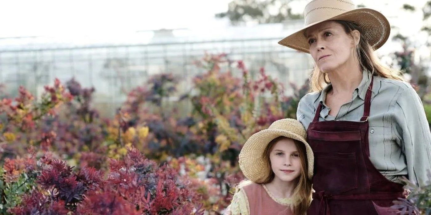 Uncovering the Truth Behind Clem's Mysterious Death: The Explosive Finale of The Lost Flowers Of Alice Hart Unveiled